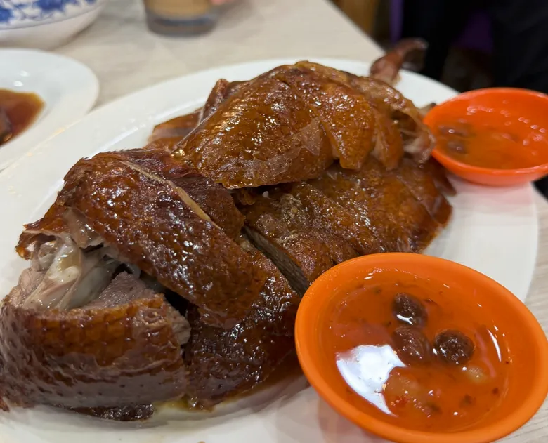 index-20260304-123654